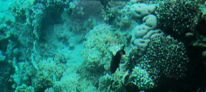 img_20151209_223408.jpg