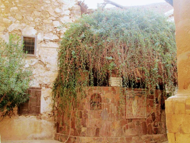 fb_img_1484396537286