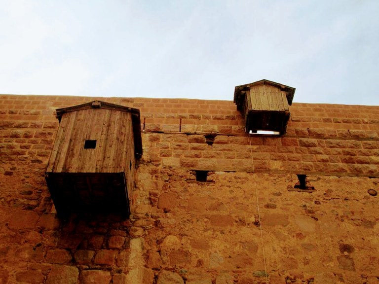 fb_img_1484396576511