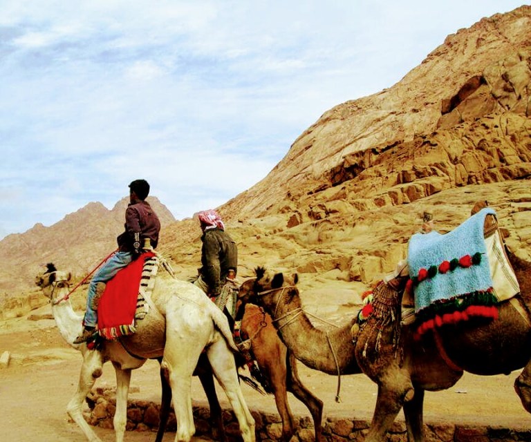 fb_img_1484396602039