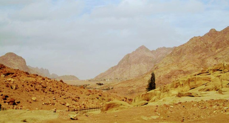 fb_img_1484396610938