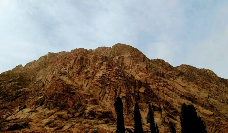 fb_img_1484396939774