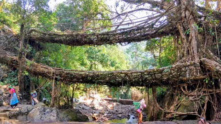 IMG_20161114_122623083_HDR~2