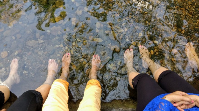 IMG_20161114_122904216~2