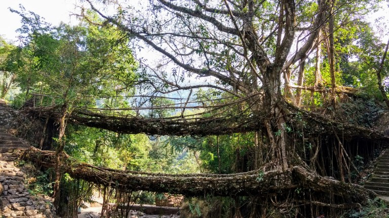 IMG_20161114_123753024_HDR~2