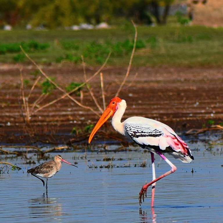 FB_IMG_1496334158101