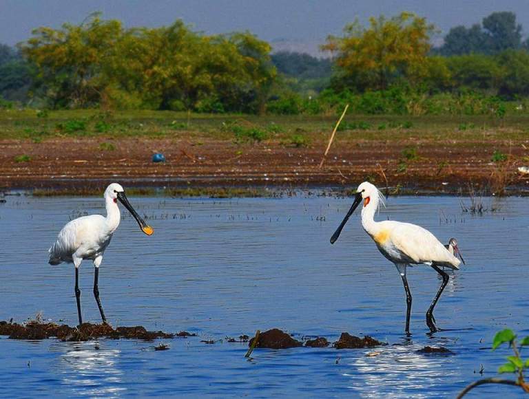 FB_IMG_1496334163832