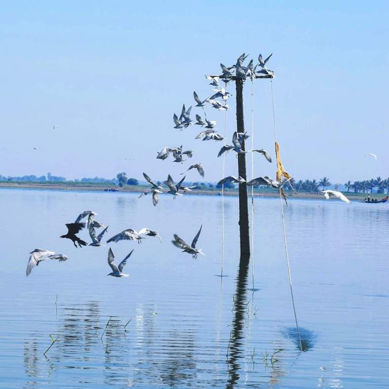 FB_IMG_1496334174523