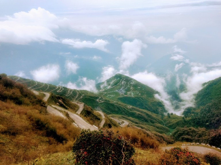 IMG_20180525_091642059_HDR~2