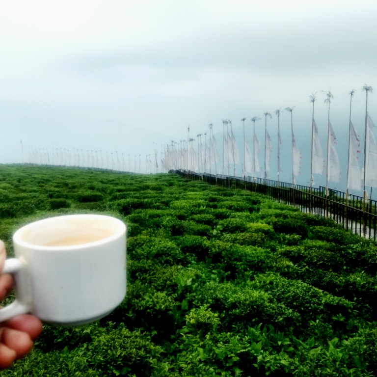 IMG_20180601_112215_634