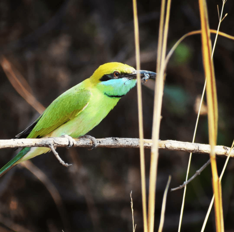 Screenshot_20180828-094837~2