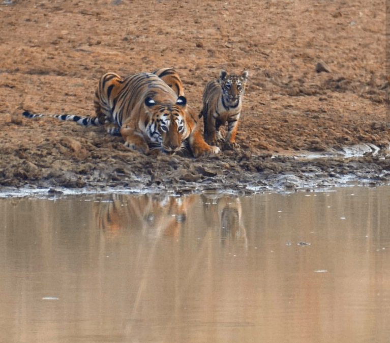 Screenshot_20180828-094846~3