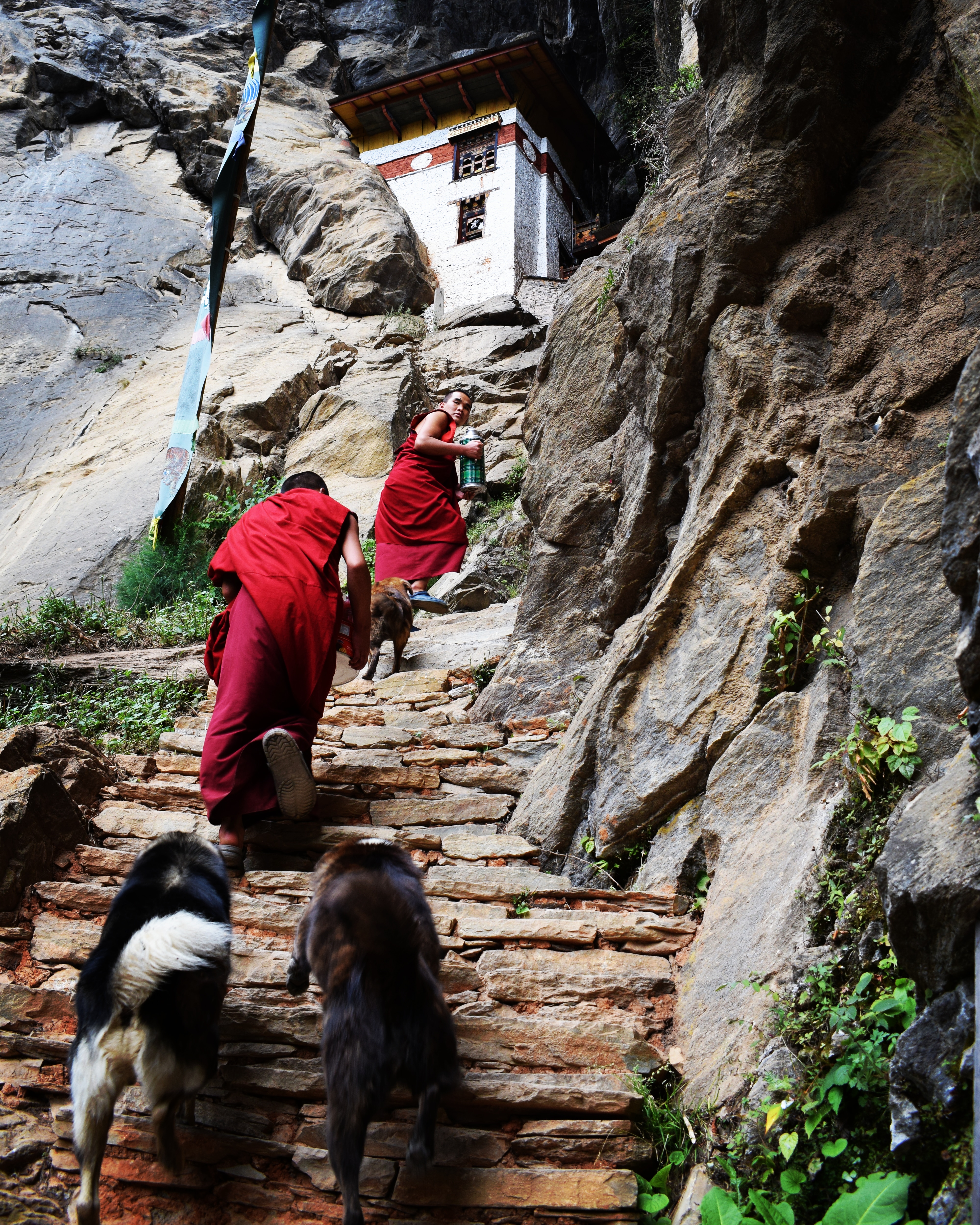 IMG_20180927_213722_025